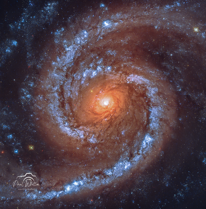 NGC_1566